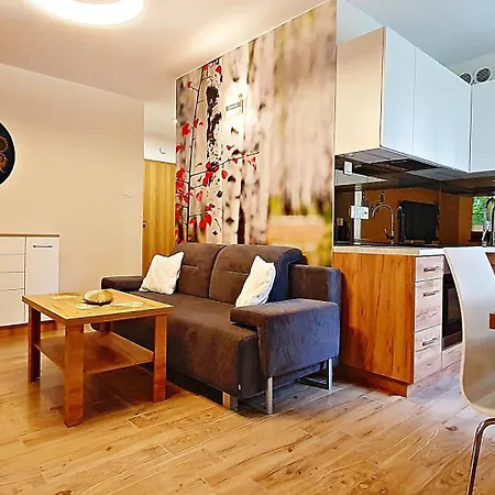 Sun&fun Parkowa Nadrzeczna 3d I 3e -blisko Centrum, Dworca Pkp W Otoczeniu Zieleni